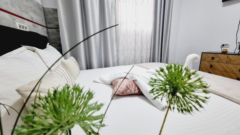 KYD VILA - Studiouri si Apartamente la 100m de Plaja Debarcader - image 29