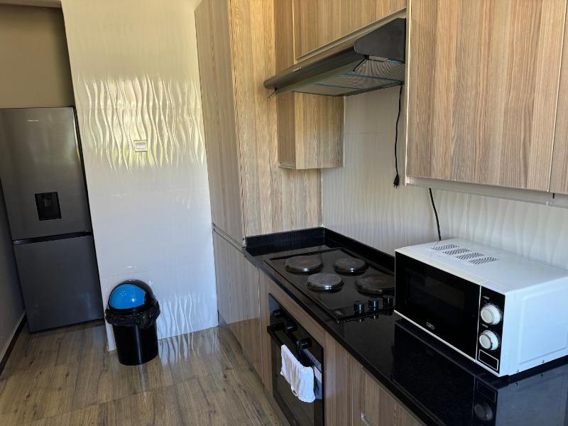 Steady State Apartment 4 - image 11