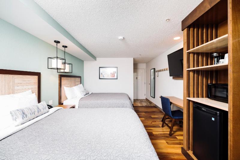 Deluxe Double Room image 3