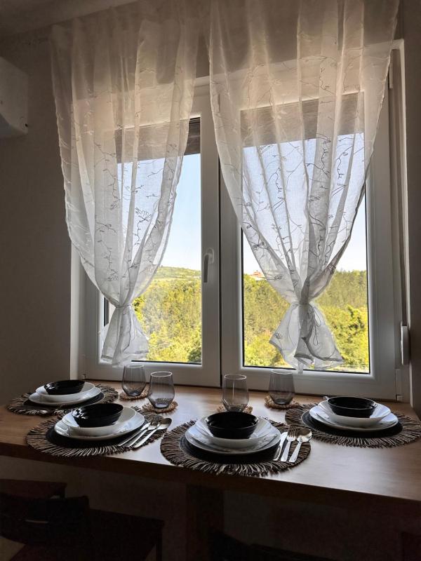 Aria Apartman Sokobanja - image 2