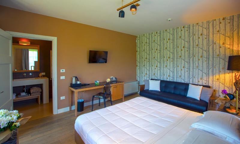 Superior Double Room image 4