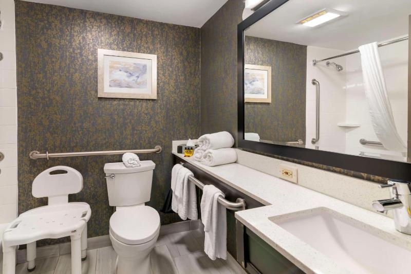 King Room with Mobility Accessible Roll-In Shower image 1