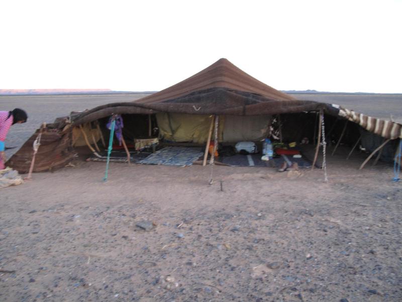 Sahara camel tours camp - image 17