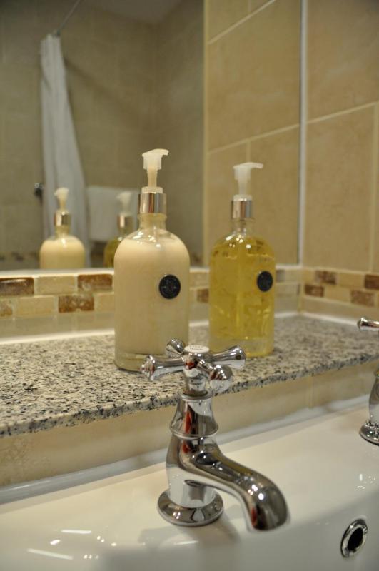 One-Bedroom Apartment image 4