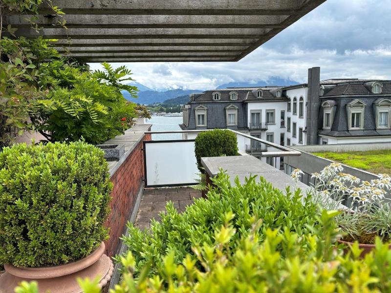 Apartment with Terrace image 2