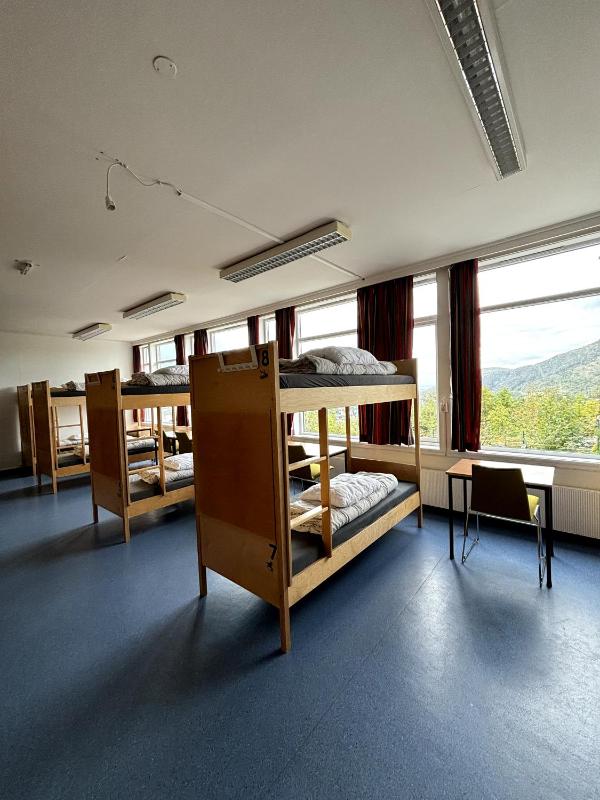 Bed in 18-Bed Mixed Dormitory Room image 4