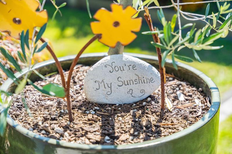 Sunshine Cottage - image 15