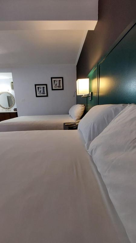 Double or Twin Room image 4
