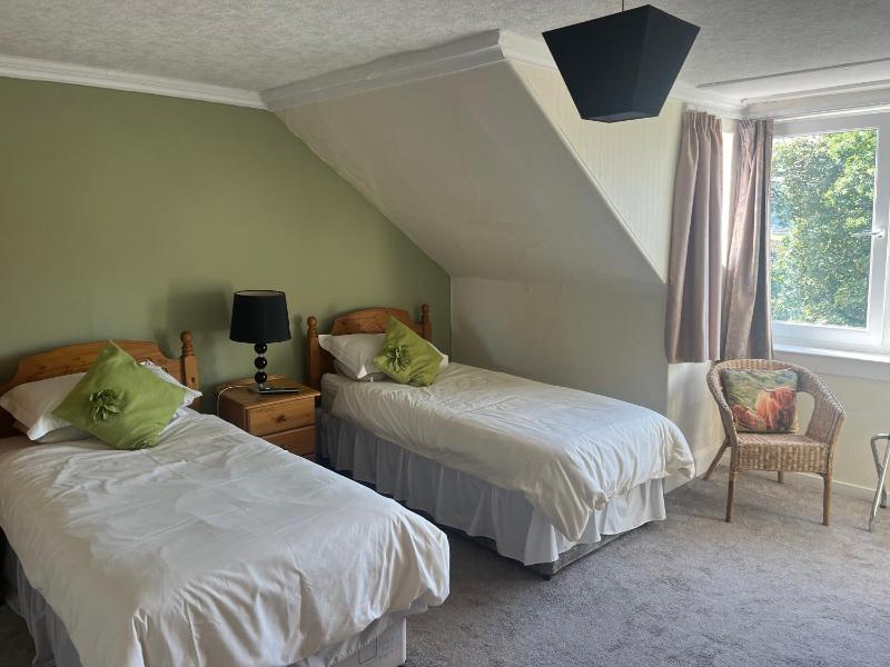 Classic Twin Room image 2
