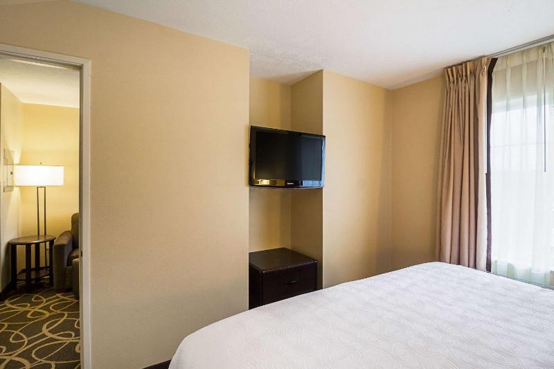 One-Bedroom King Suite with Sofa Bed - Non-Smoking image 4