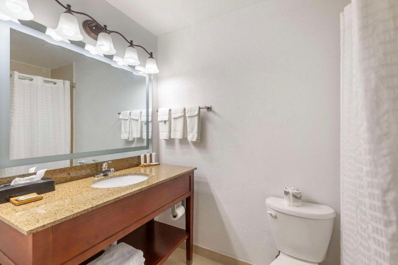 One-Bedroom King Suite - Non-Smoking image 2
