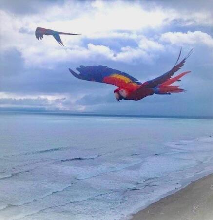 Coloso del Mar - image 12