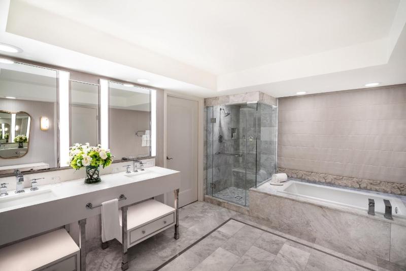 Salone Suite image 2