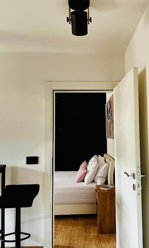 Apartment Black Diamond - Vracar Belgrade - image 12