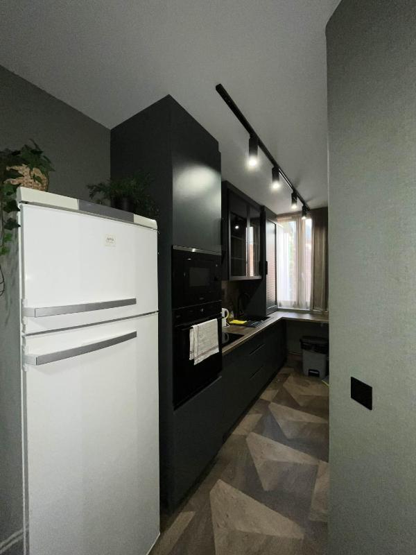 One-Bedroom Family Apartment image 2