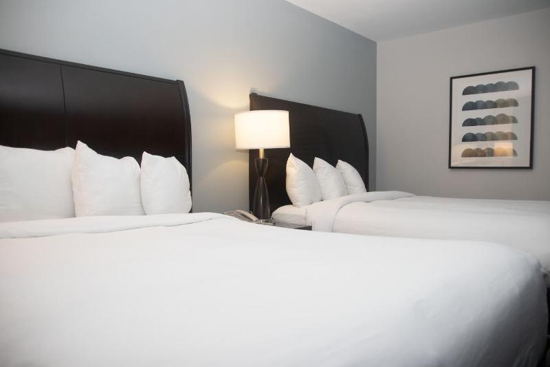 Luxury Room 2 Queens Non- Smoking Newly Renovated  image 3