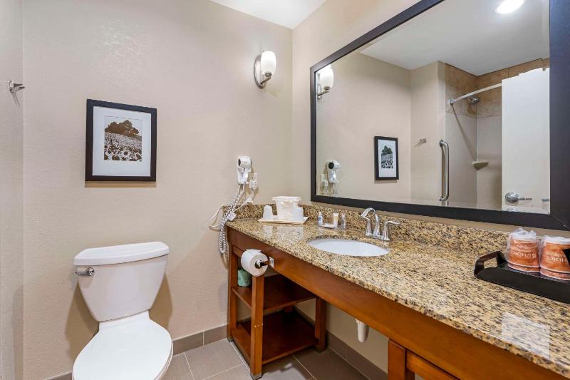 King Suite image 2
