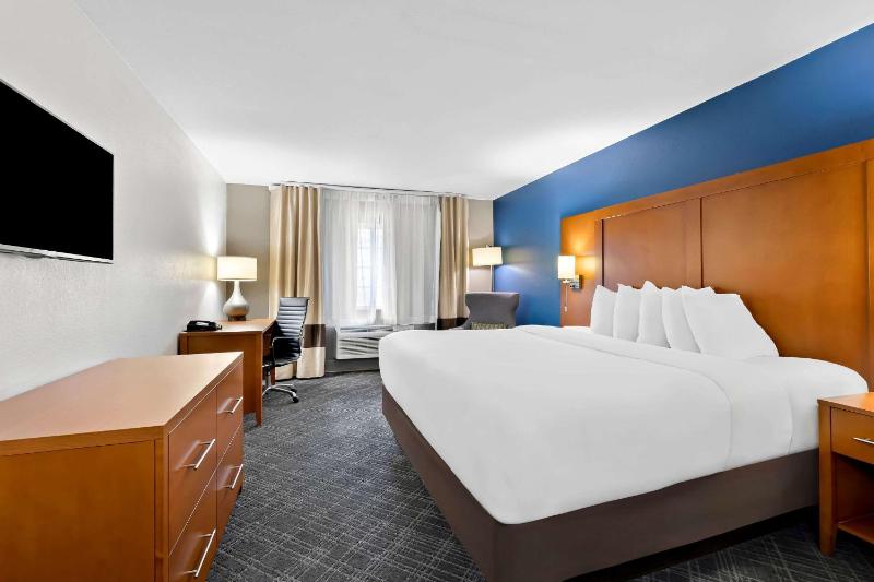 King Room - Non-Smoking image 4