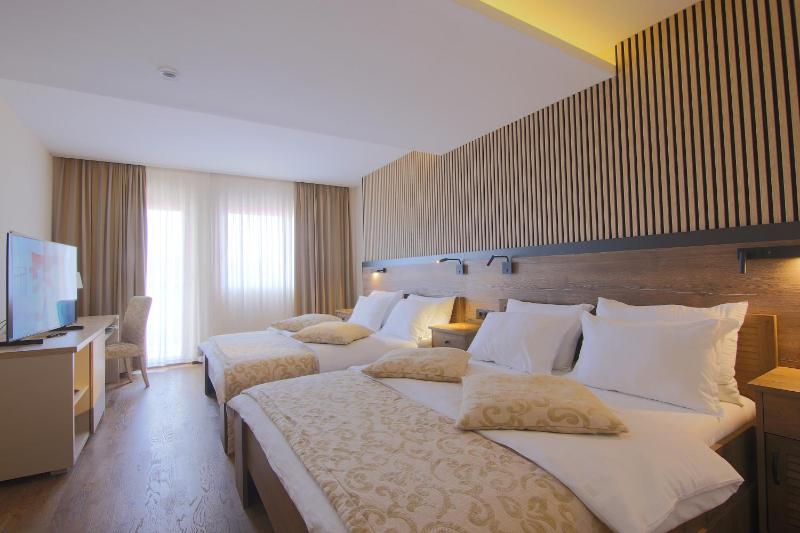 Deluxe Double or Twin Room image 2