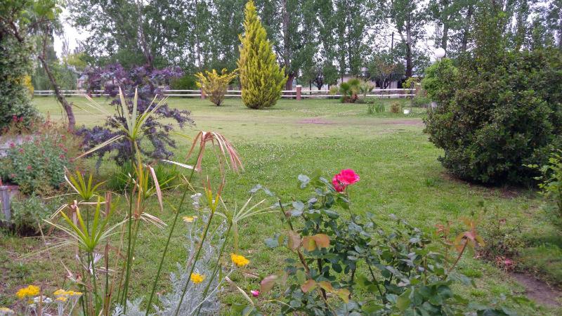 Villa Ciruelos - image 33