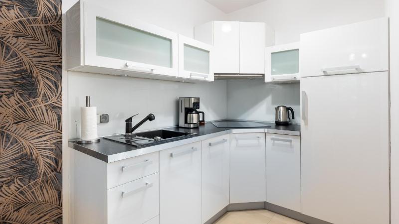One-Bedroom Apartment image 4