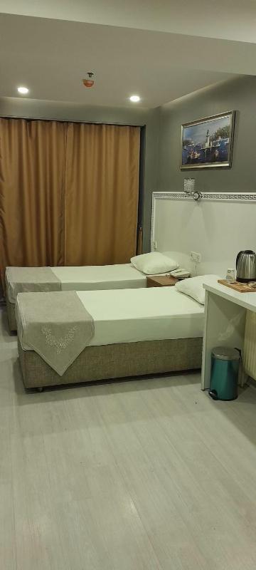 Deluxe Twin Room image 2