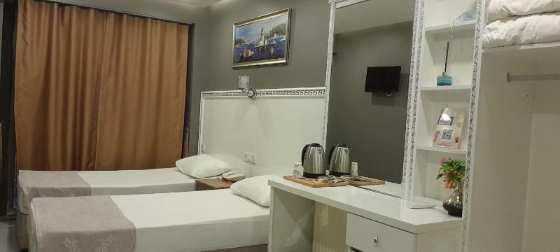 Deluxe Twin Room image 3