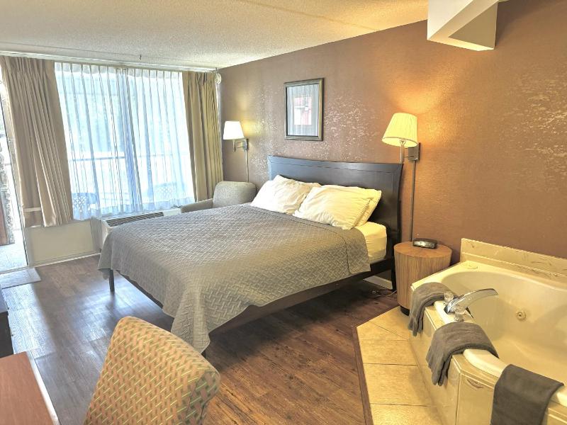 Deluxe King Suite image 4