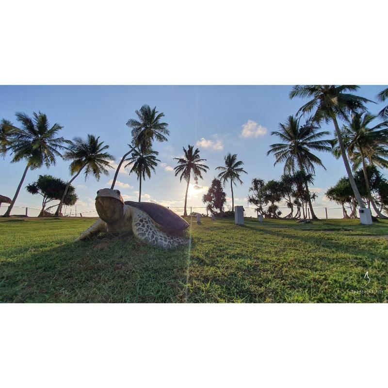 Green Turtle Villa by TSC Bentota - image 22
