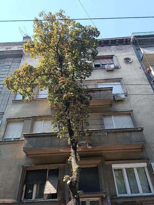 LEO Apartment - image 11