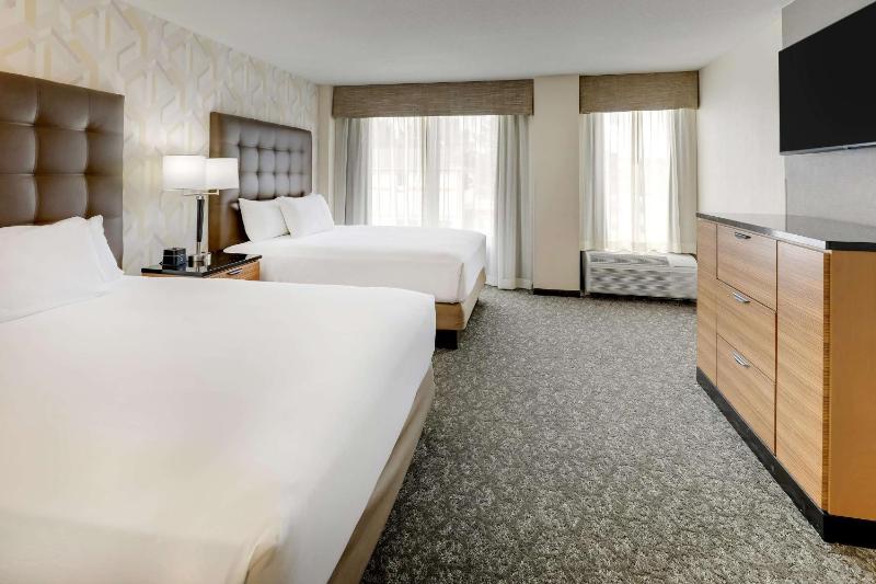 Queen Suite image 4