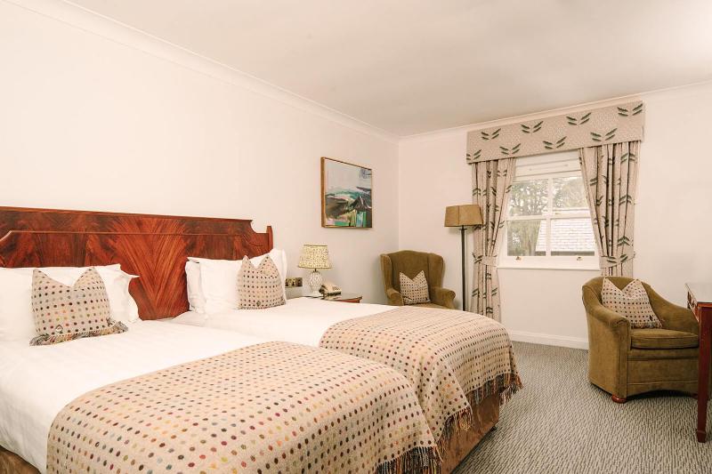 Standard Twin Room image 1