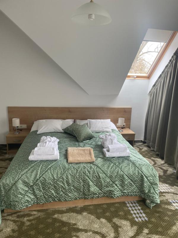 Superior Double Room image 3