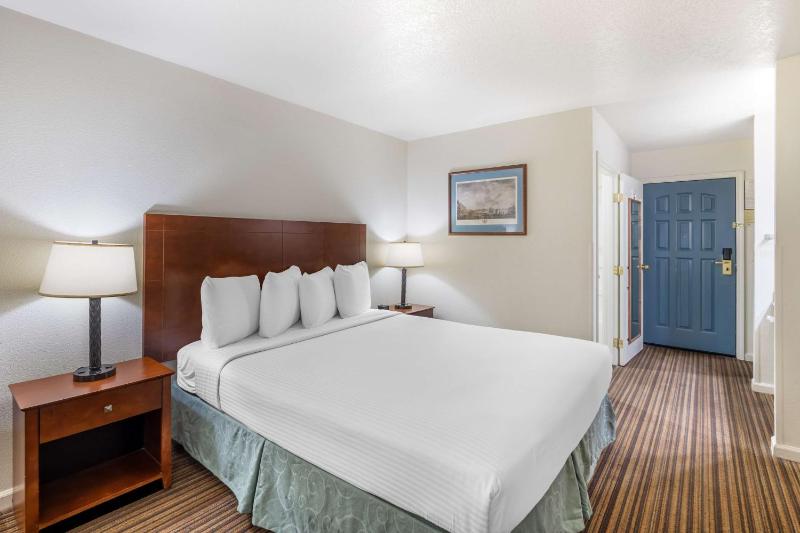 King Room image 2