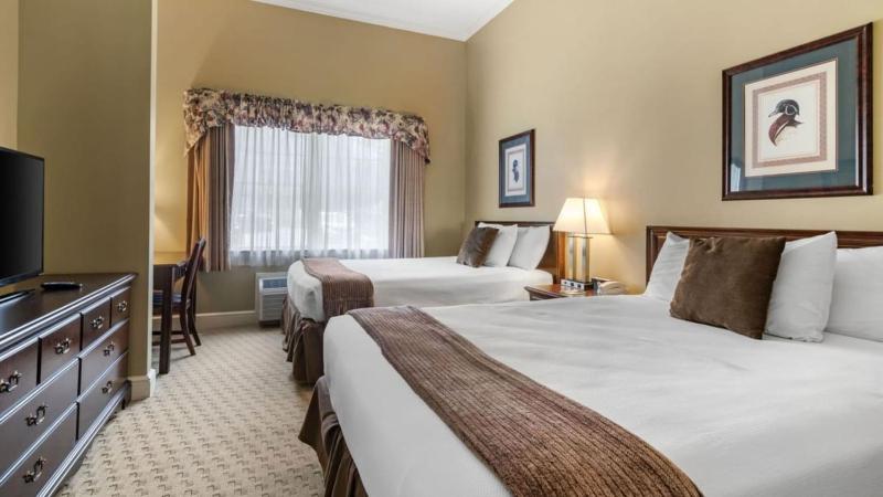 Superior Suite image 1