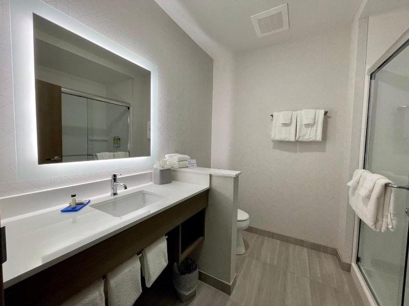 Standard King Room with Walk-In Shower image 3