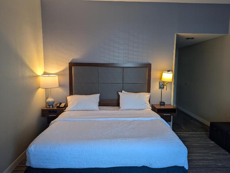 King Room - Non-Smoking image 3