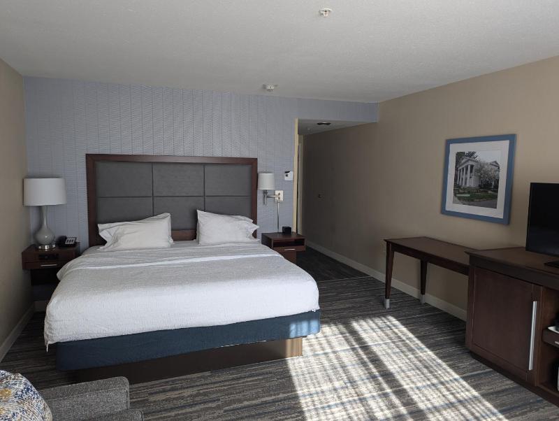 King Room with Sofa Bed - Mobility Access/Non-Smoking image 4