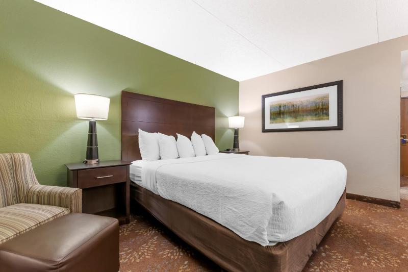 King Room with Pool View image 2