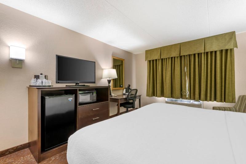 King Room with Pool View image 3