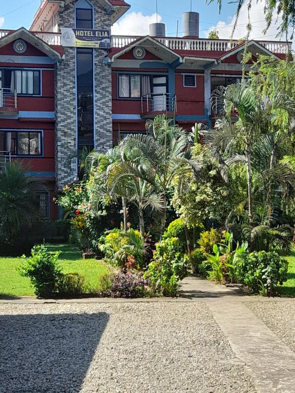 Hotel New Elia - image 13
