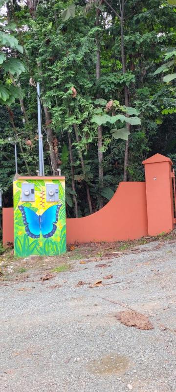 TREEHOUSE PILON PAVONES - image 6