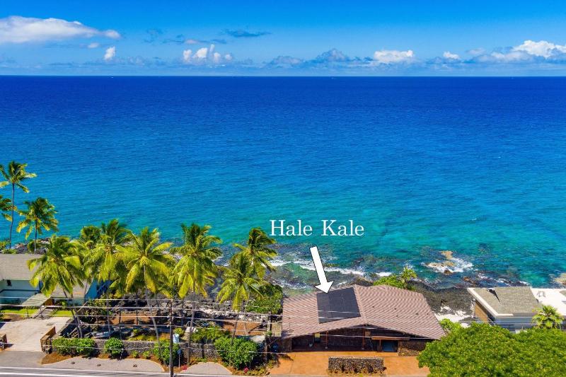 Hale Kale - image 7