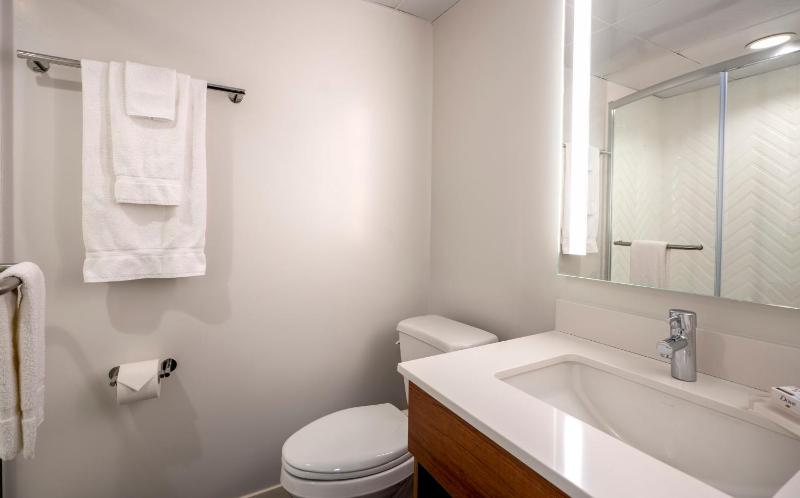 Holiday Inn New Orleans-Downtown Superdome by IHG - image 4
