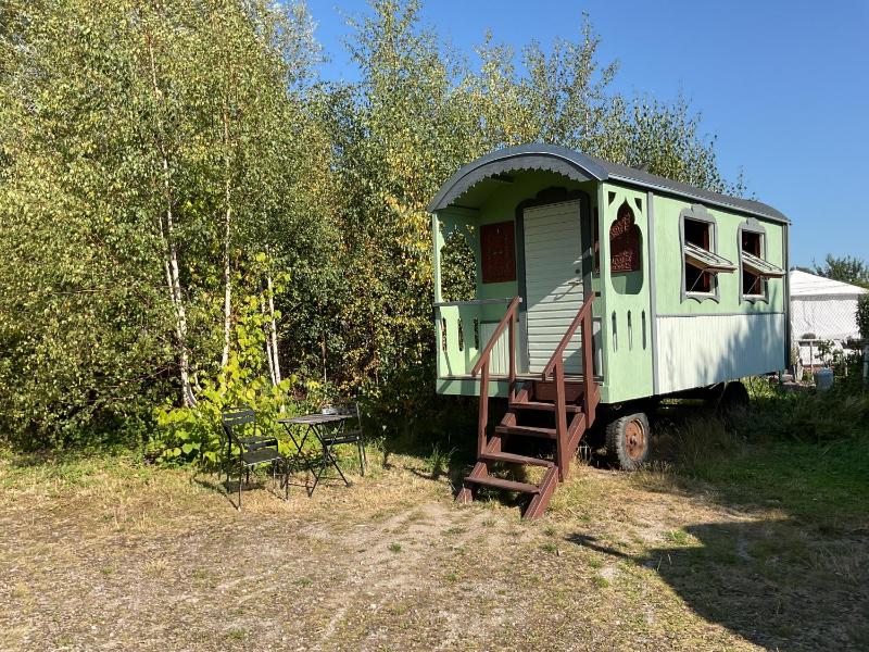 The Lion Tamer's Wagon image 1