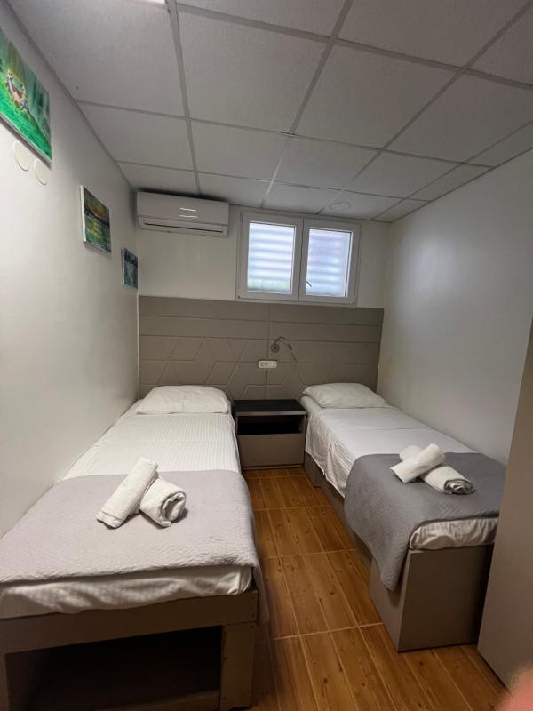 Standard Twin Room image 3