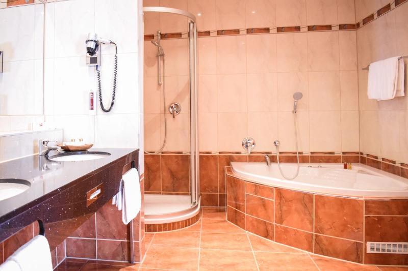 One-Bedroom Suite image 2