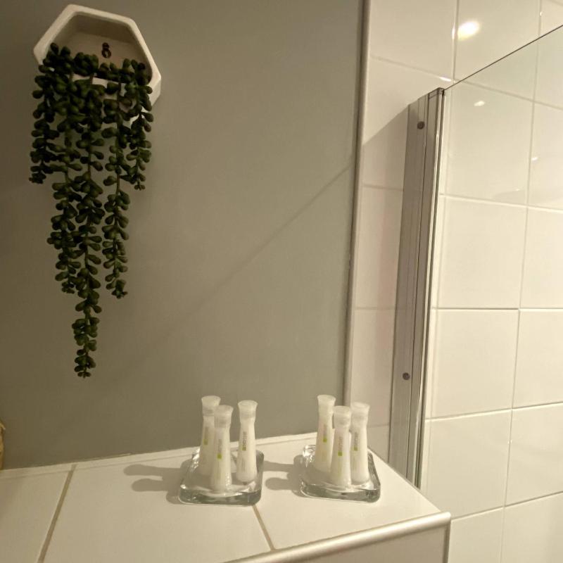 Standard Double Room image 2