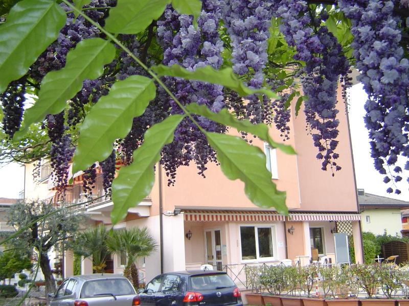 Hotel Alsazia - image 7