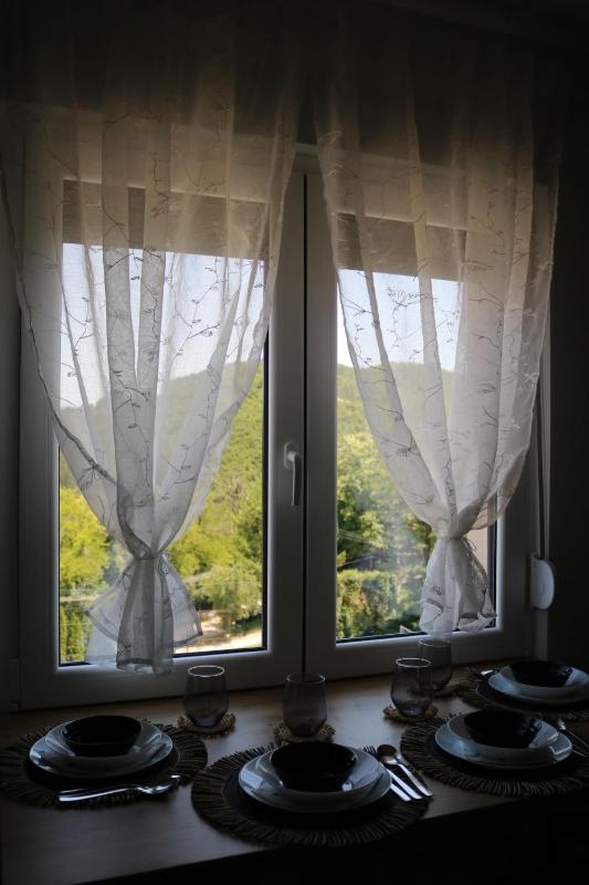 Aria Apartman Sokobanja - image 4